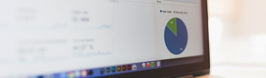 Schermo di un pc che mostra una statistica sui visitatori di un sito web