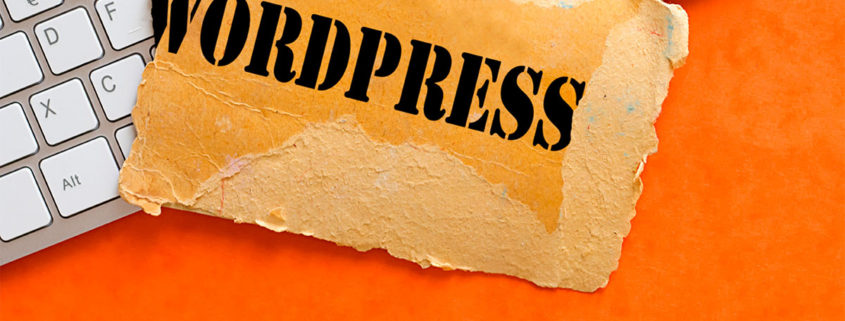 plugin wordpress indispensabili